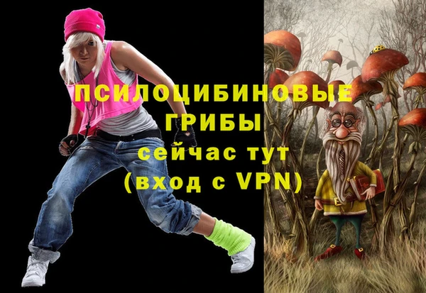 ALPHA PVP Беломорск